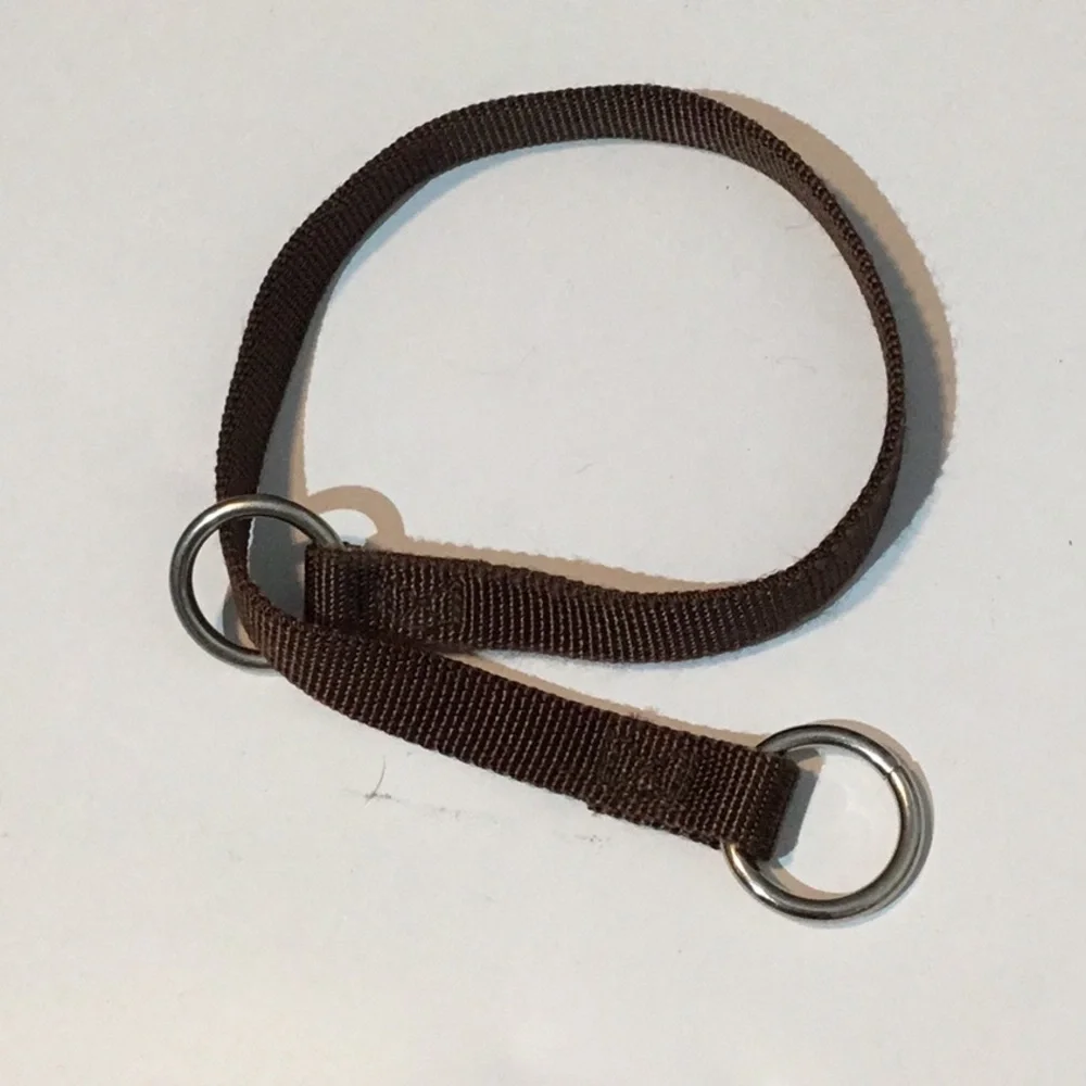 Slip collar & leash, sturdy nylon, brown color, 1” wide, metal hardware